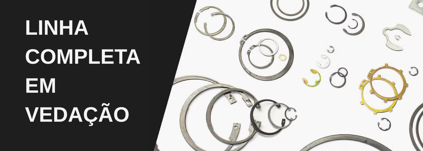 banner-LDV-vedacoes (2)